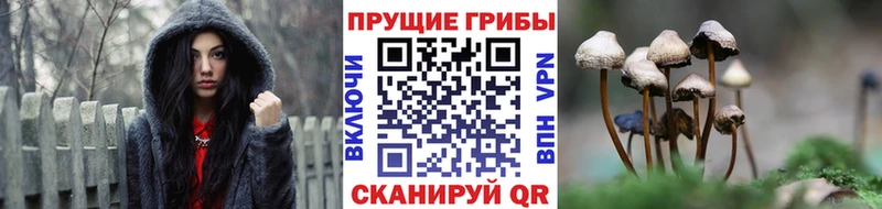 Галлюциногенные грибы GOLDEN TEACHER Сольцы